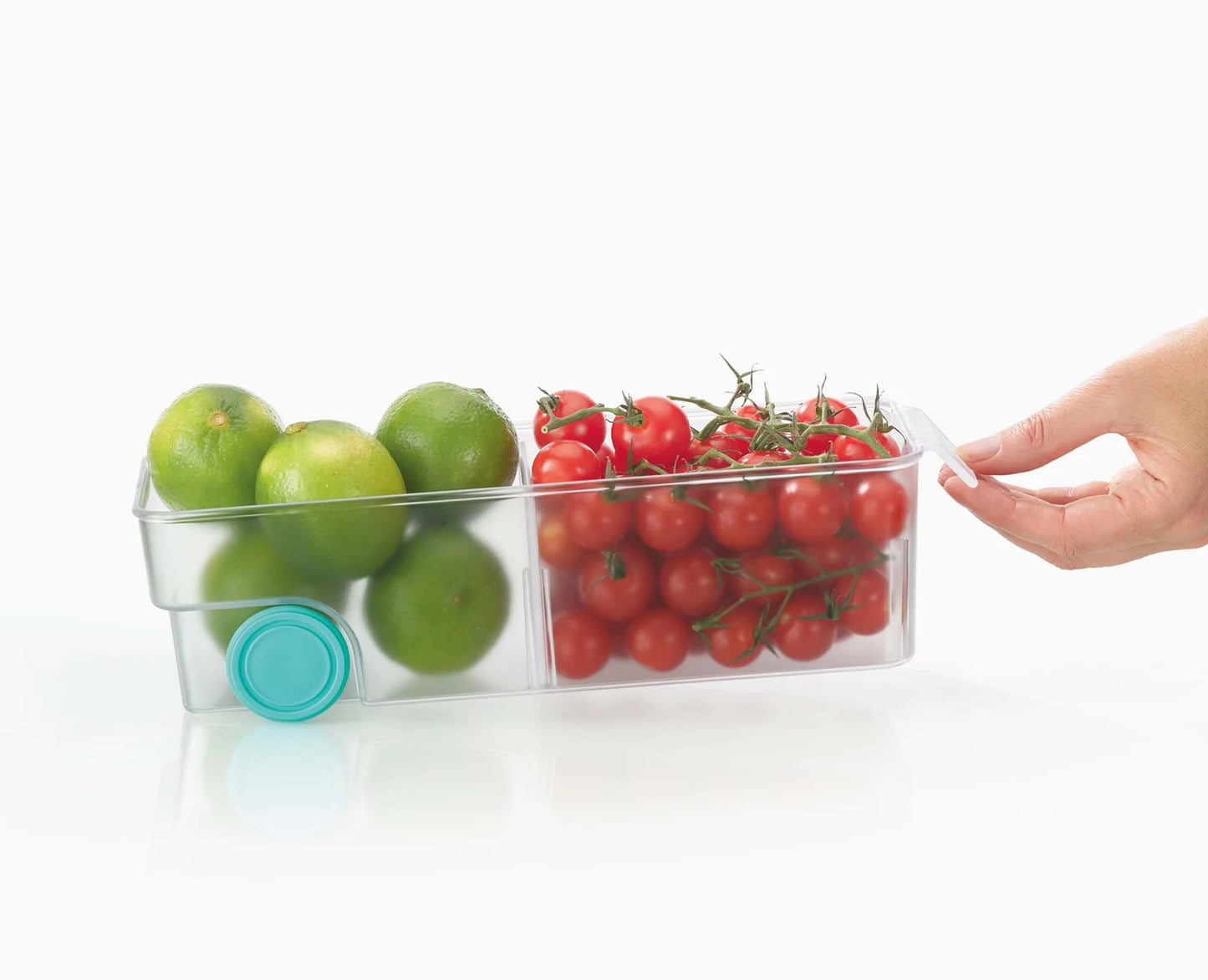 FridgeStore™ Compact Clear Storage Bin- Various Sizes