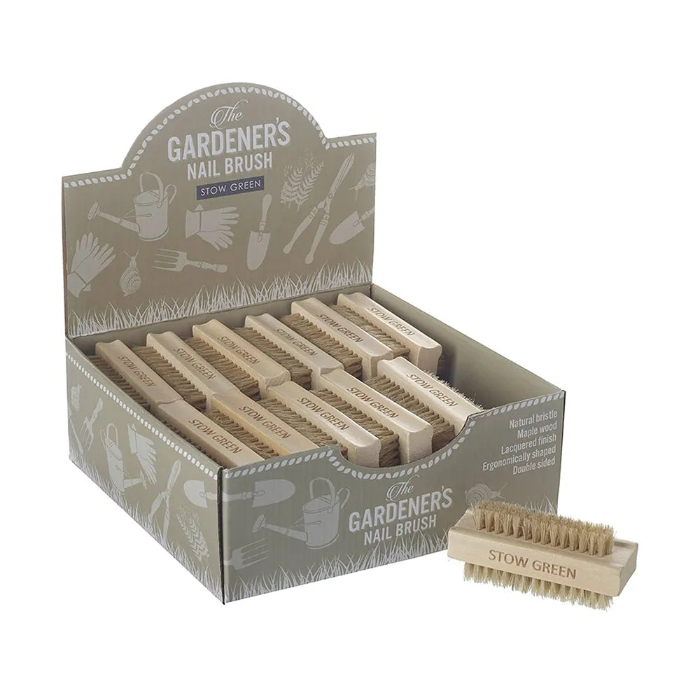 Beechwood Gardeners Nail Brush