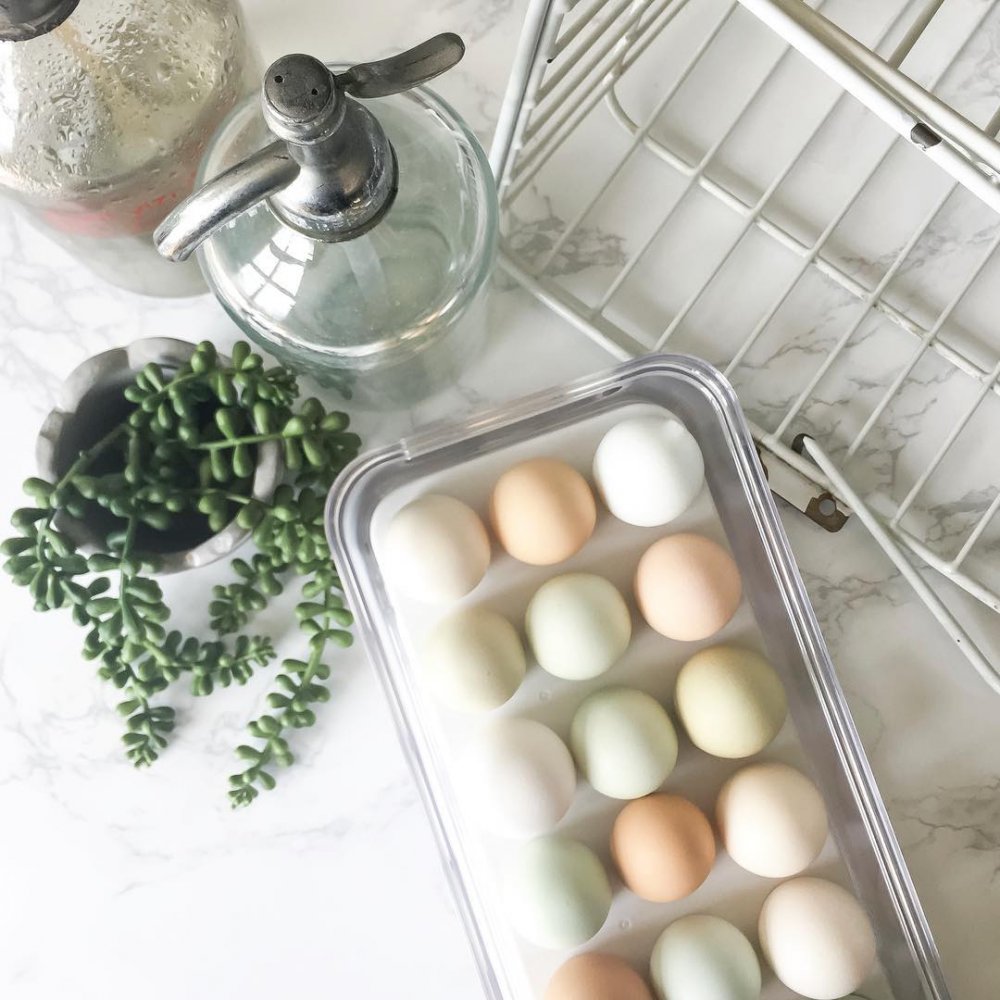 Crisp Egg Bin - The Organised Store